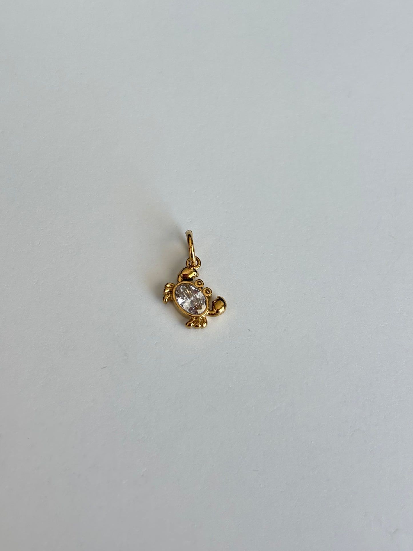 Charm Granchietto Zirconi