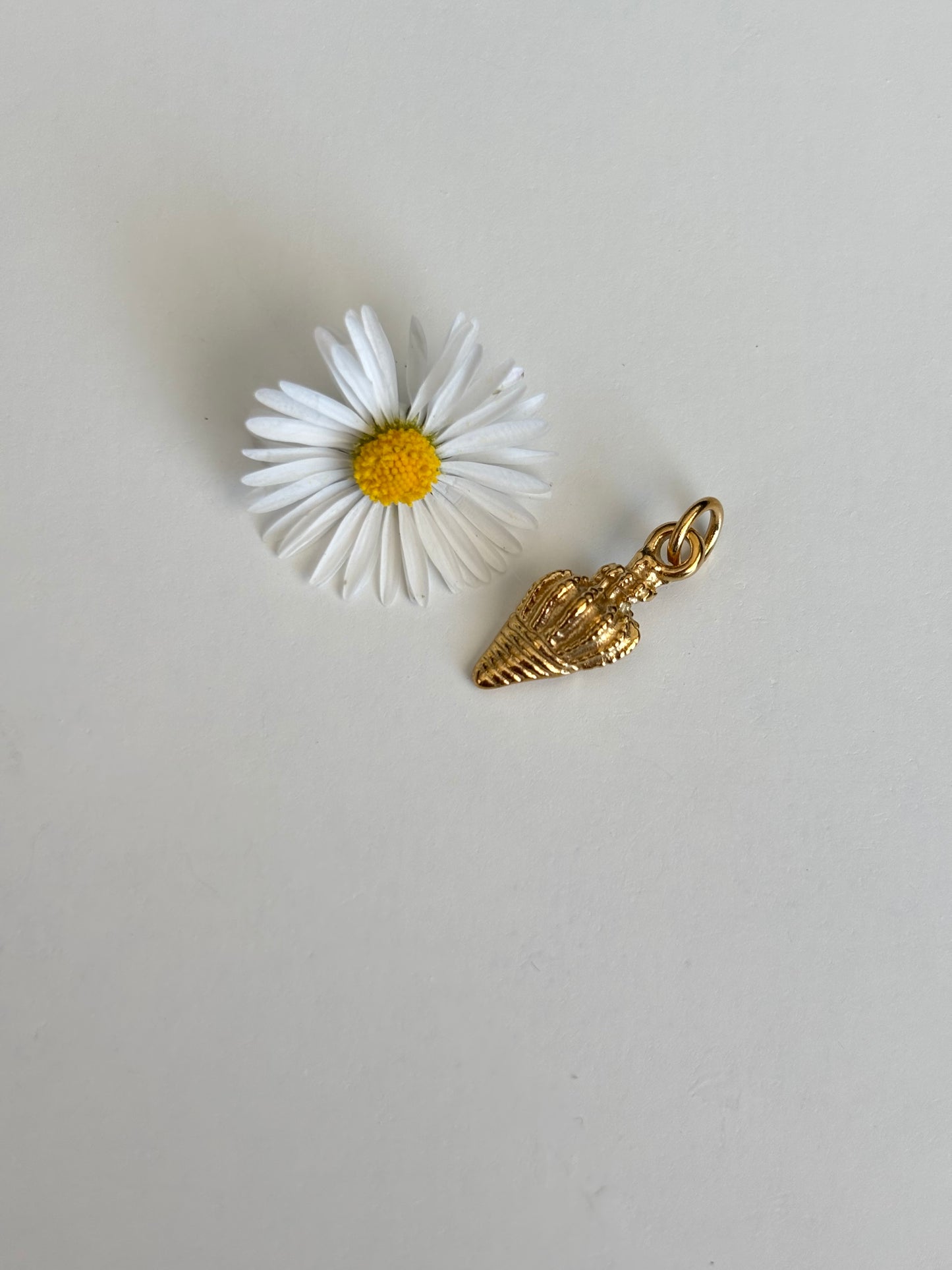 Charm Conchiglia