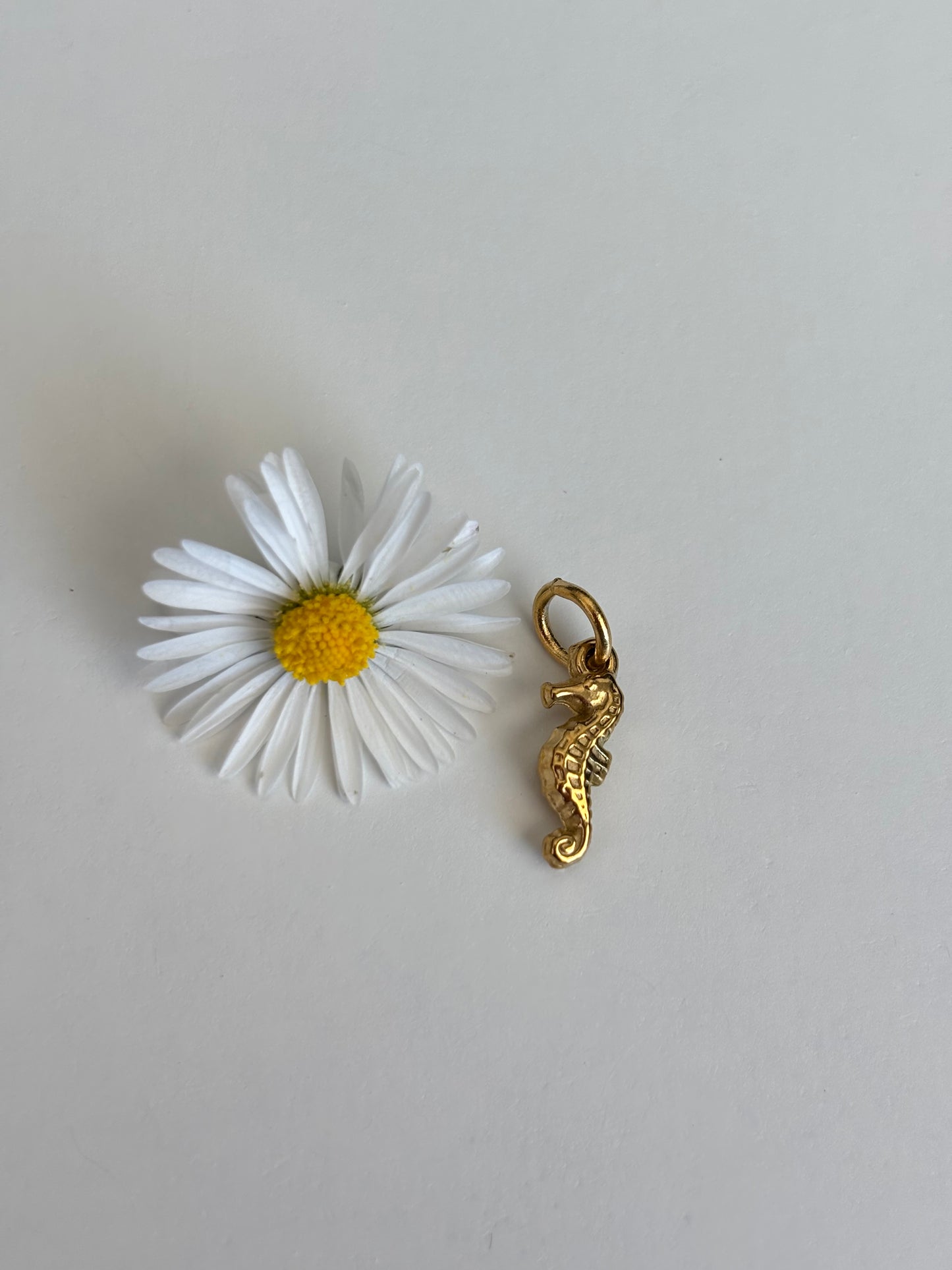 Charm Cavalluccio marino