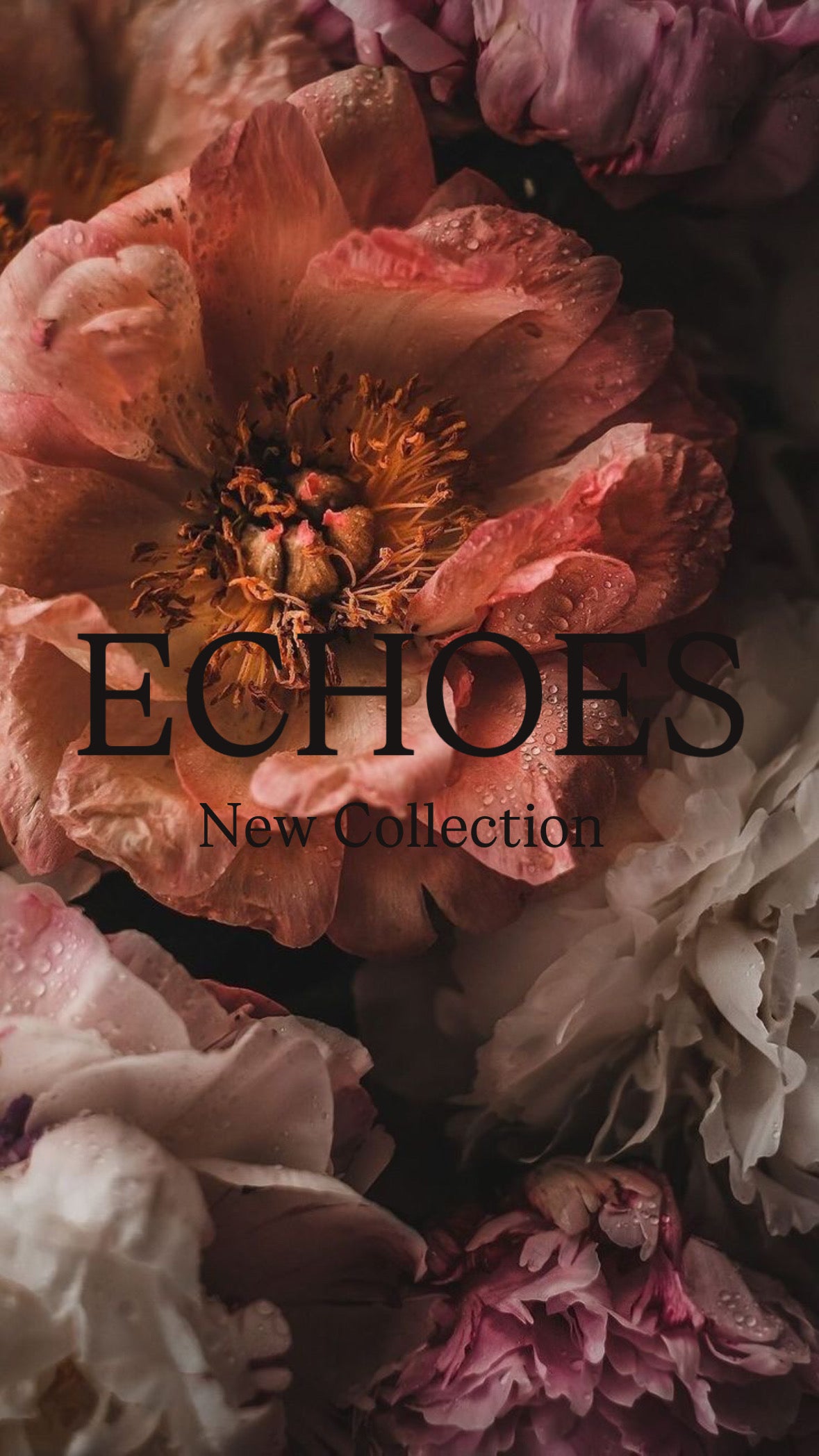 Echoes Collection