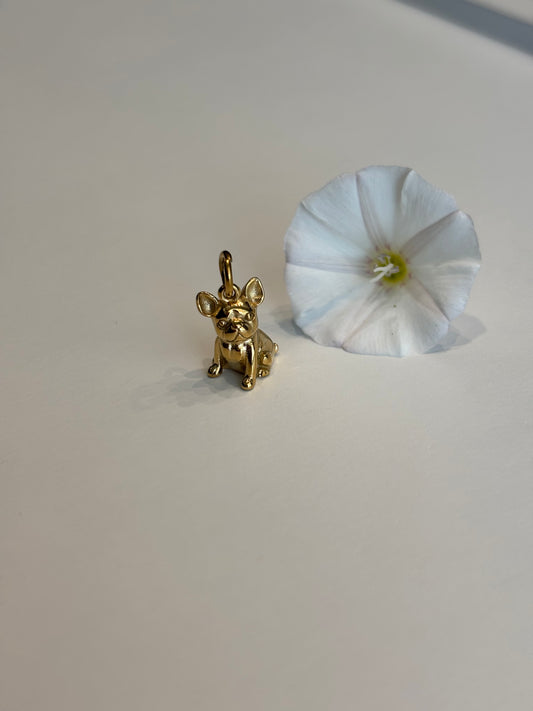 Charm Bulldog francese