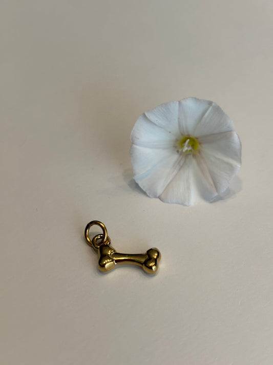Charm Osso