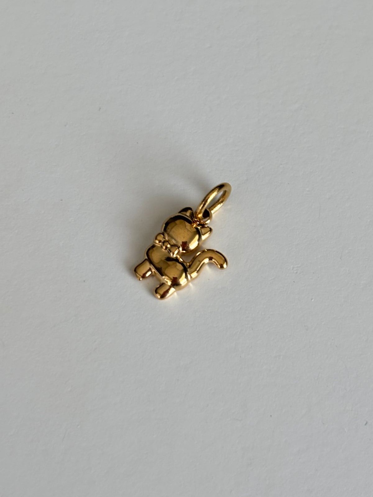 Charm Gatto