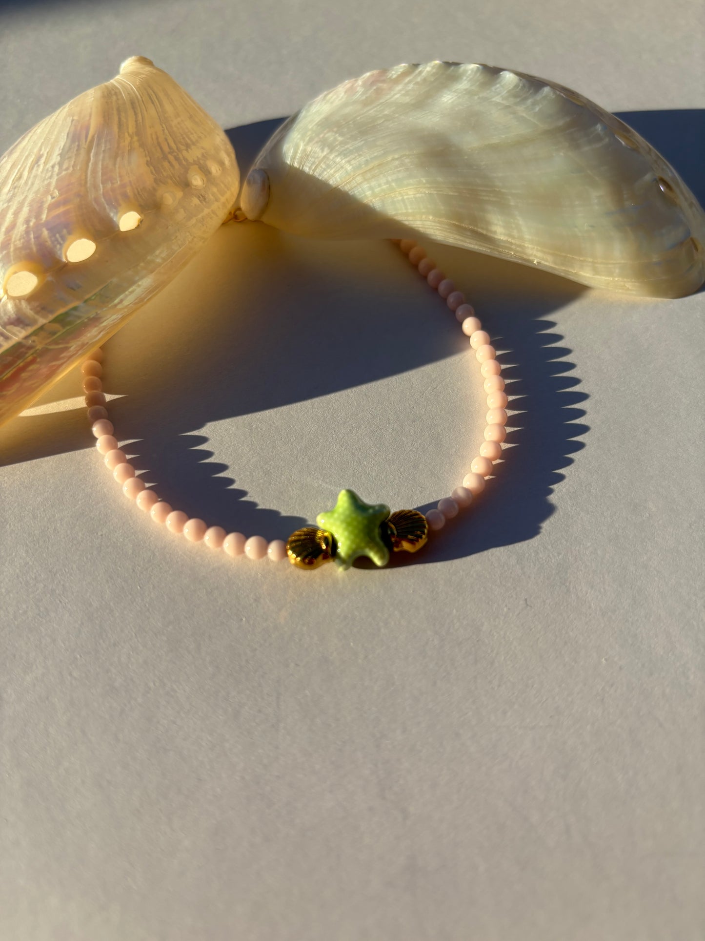 Cavigliera Shell