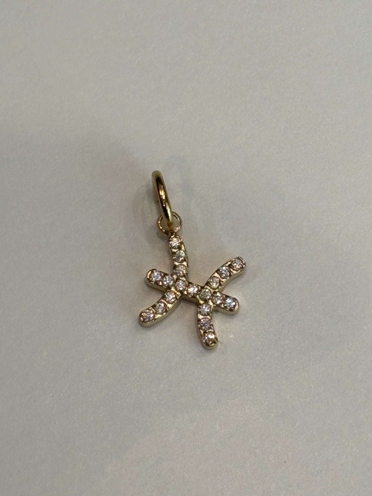 Charm Zodiac