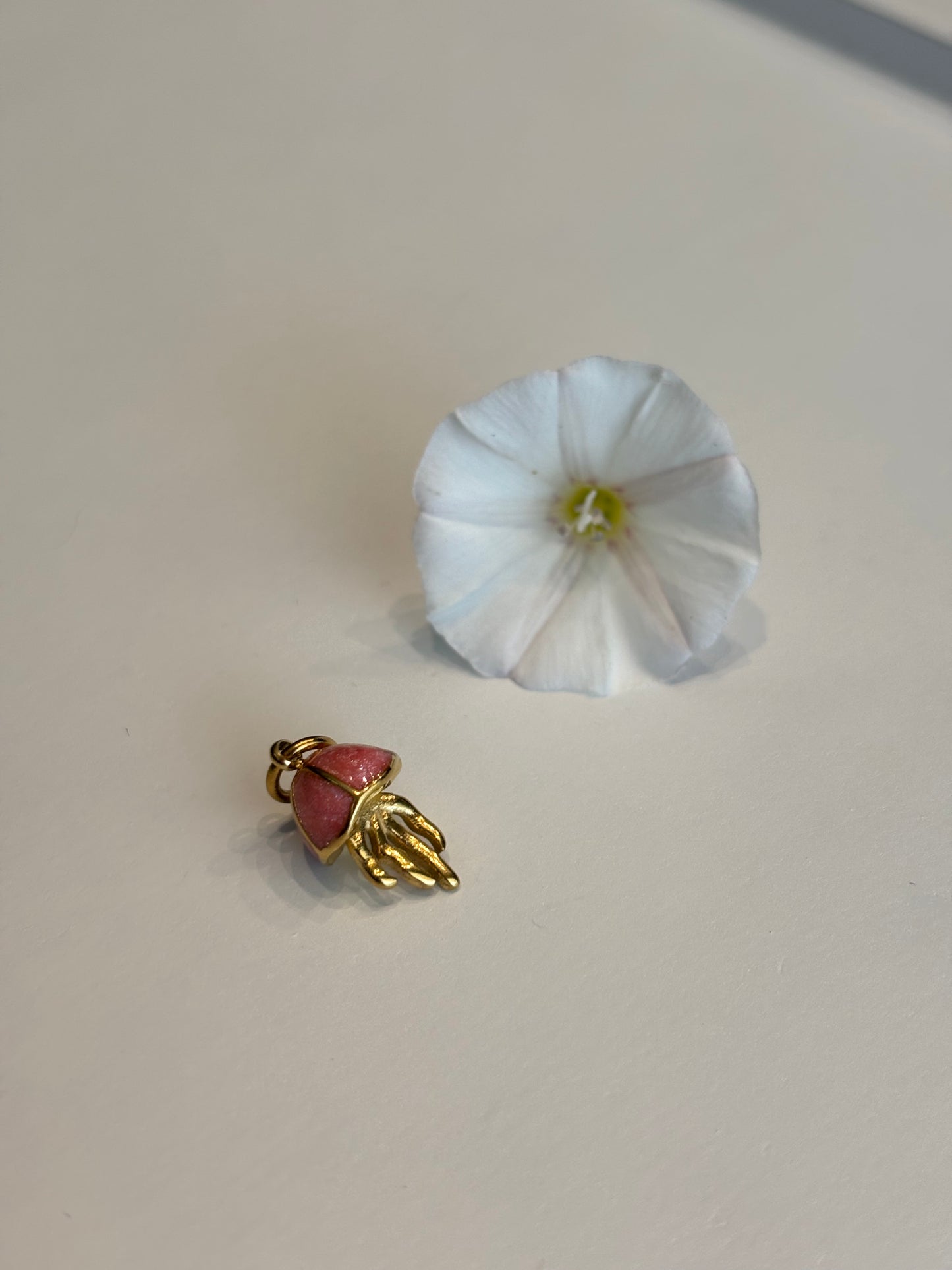 Charm Jellyfish